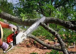 Best Aeration Services  in Margaret, AL